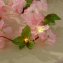 Guirlande de fleurs illuminée - 2